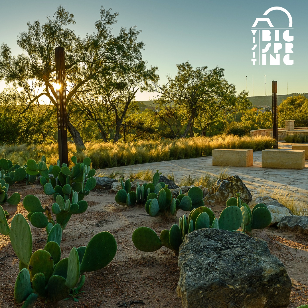 Early morning light filters through the Historic Spring, illuminating the native cacti.
